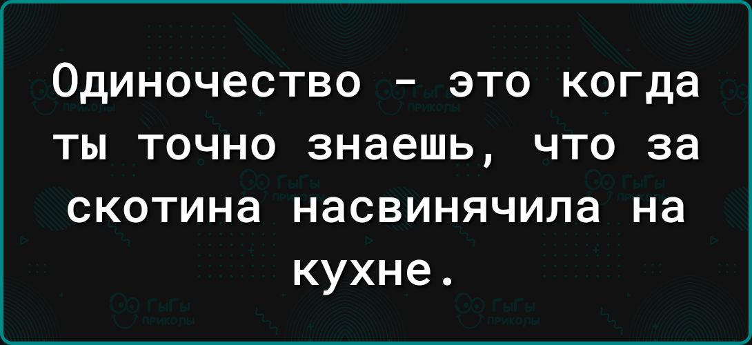 Одиночество это когда ты точно знаешь что за скотина насвинячила на кухне