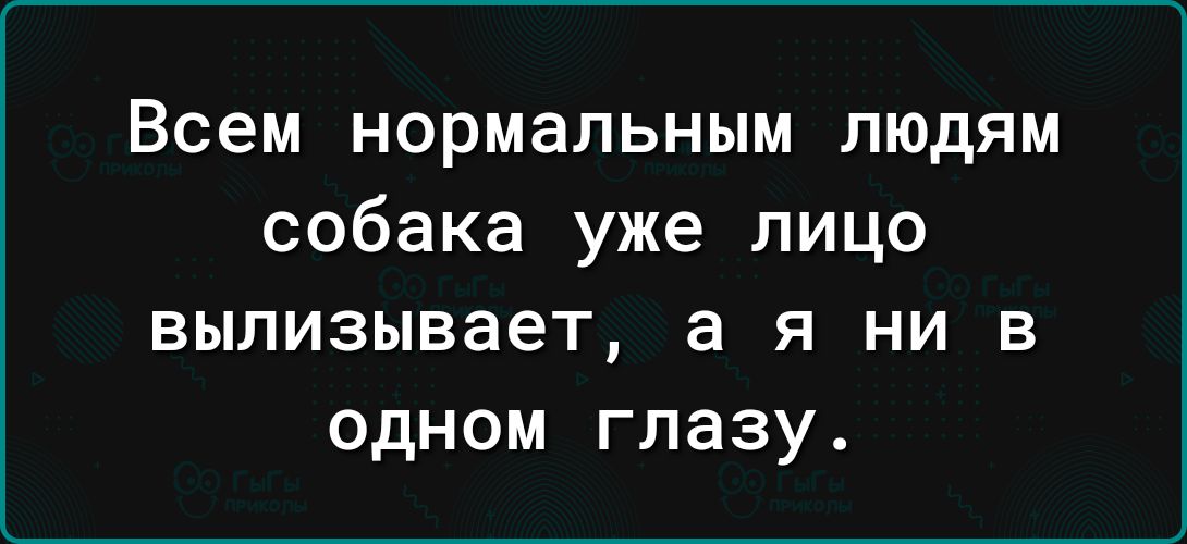 Всем нормальным людям собака уже лицо ВЫЛИЗЫВЗЕТ 3 Я НИ В ОДНОМ ГЛЭЗУ