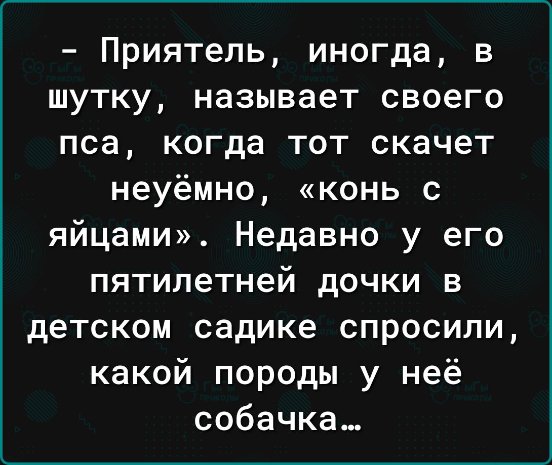 Приятель иногда в шутку называет своего пса когда тот скачет неуёмно конь с яйцами Недавно у его пятилетней дочки в детском садике спросили какой породы у неё собачка