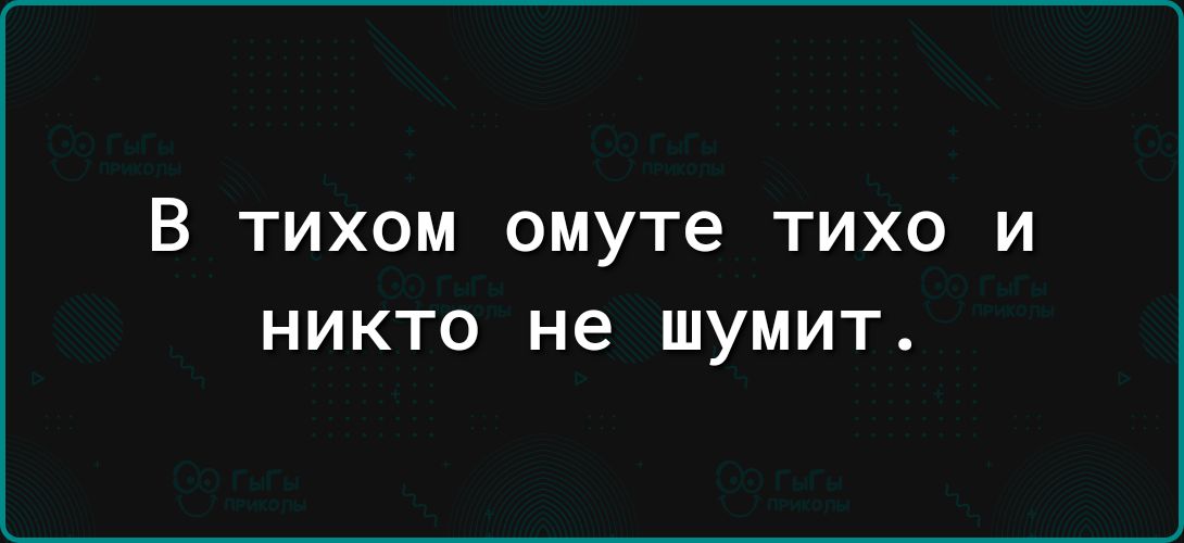 В ТИХОМ омуте ТИХО И НИКТО не ШУМИТ