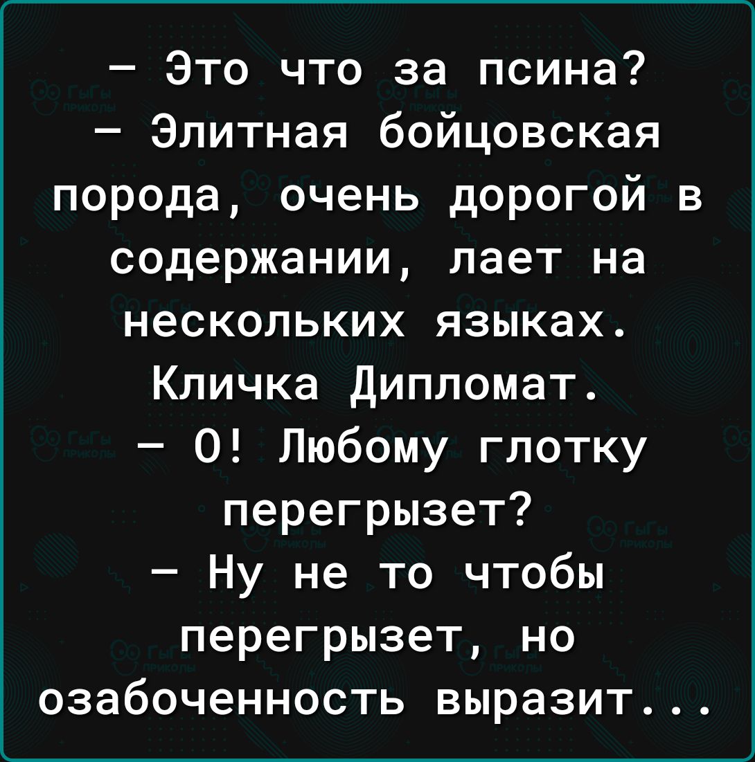 Это что за псина Элитная бойцовская порода очень дорогой в содержании лает на нескольких языках Кличка Дипломат 0 Любому глотку перегрызет Ну не то чтобы перегрызет но озабоченность выразит