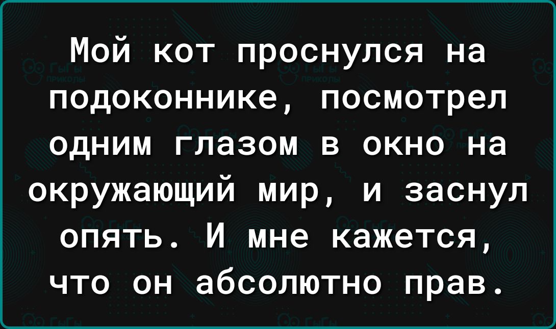 Мой кот проснулся на подоконнике посмотрел одним глазом в окно на окружающий мир и заснул опять И мне кажется что он абсолютно прав