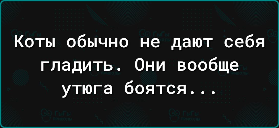 Коты обычно не дают себя гладить Они вообще утюга боятся