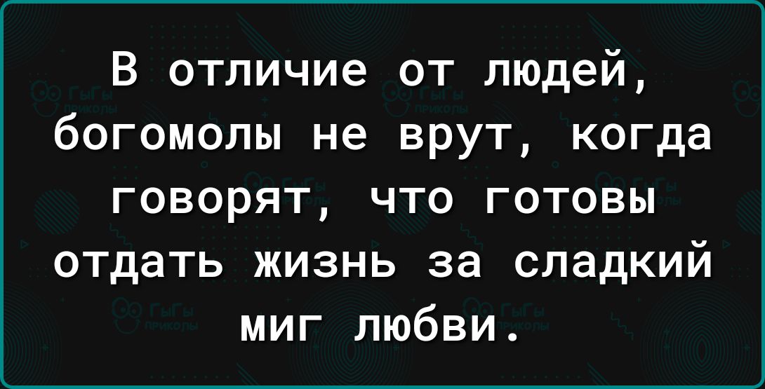 В отличие от людей богомолы не врут когда говорят что готовы отдать жизнь за сладкий миг любви