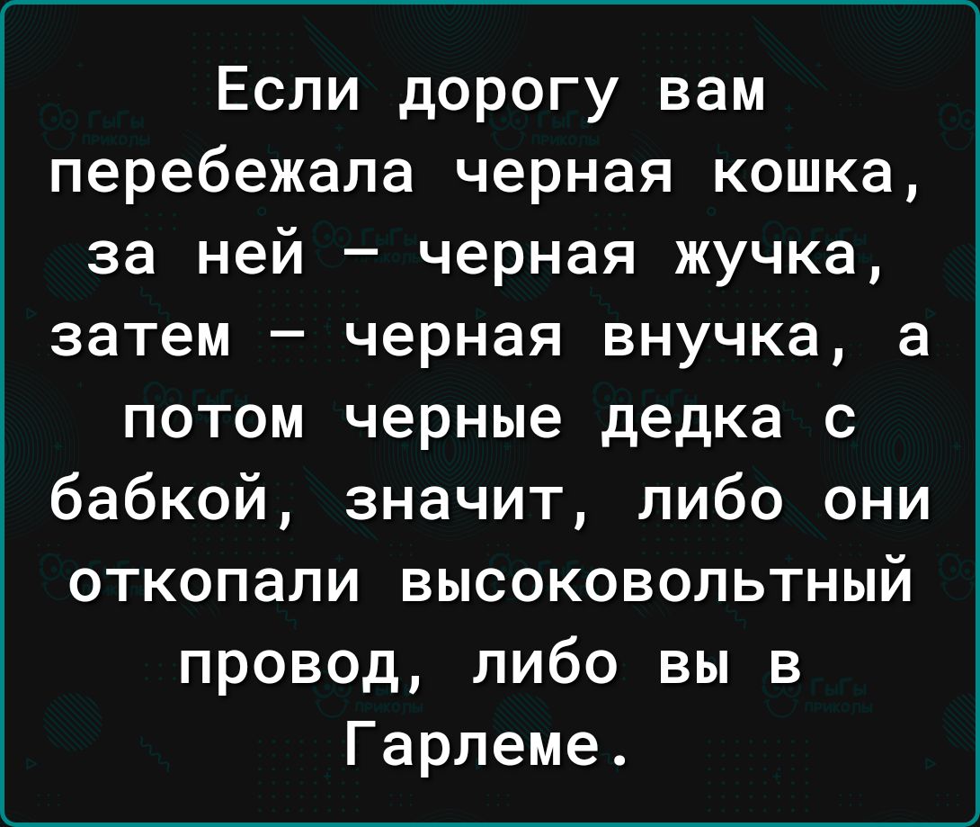 Если дорогу вам перебежала черная кошка за ней черная жучка затем черная внучка а потом черные дедка с бабкой значит либо они откопали высоковольтный провод либо вы в Гарпеме