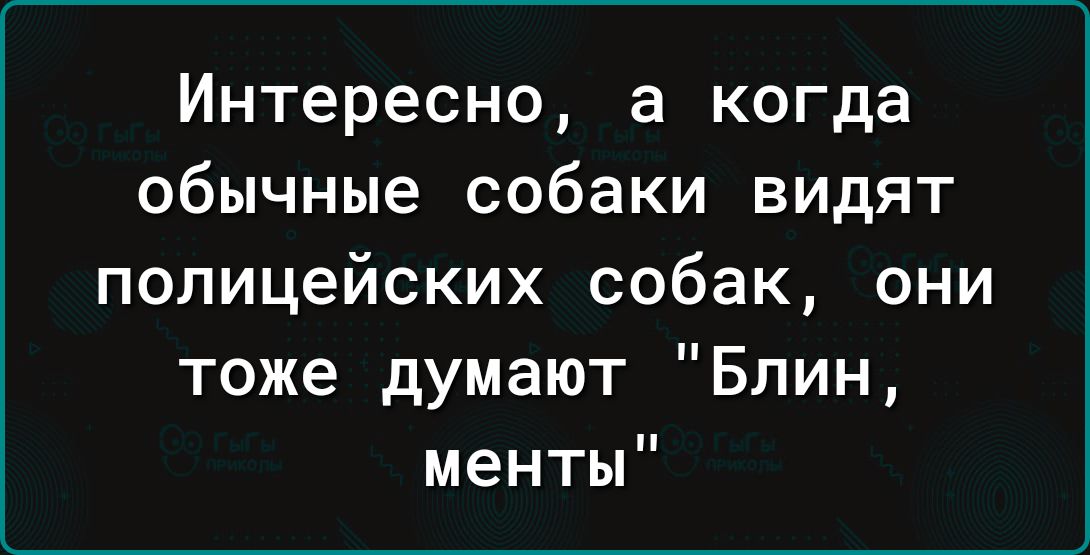 Интересно а когда обычные собаки видят полицейских собак они тоже думают Блин менты