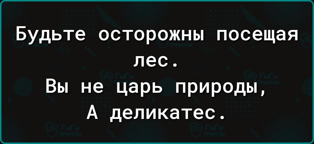 Будьте осторожны посещая пес Вы не царь природы А деликатес