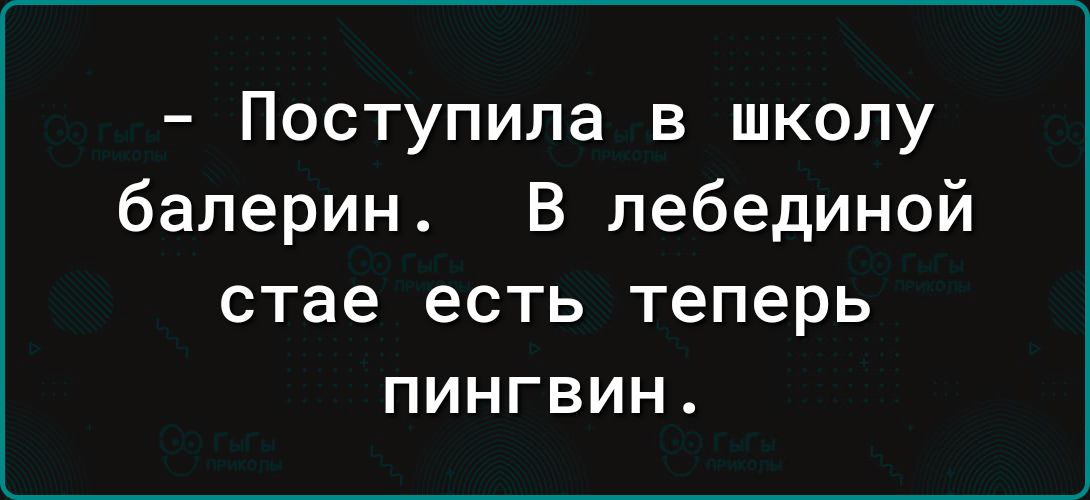 Поступила в школу балерин В лебединой стае ЕСТЬ Теперь ПИНГВИН