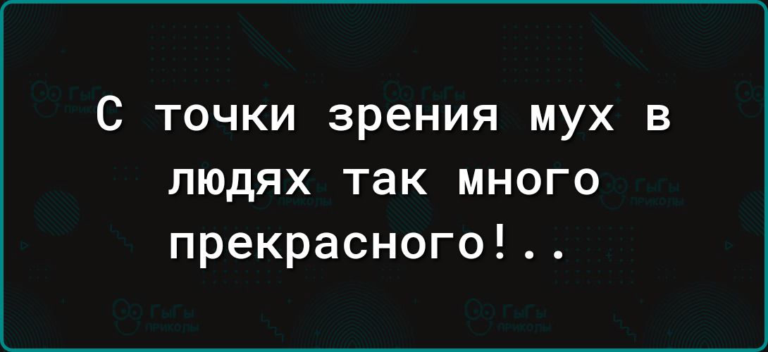 С точки зрения мух в людях так много прекрасного