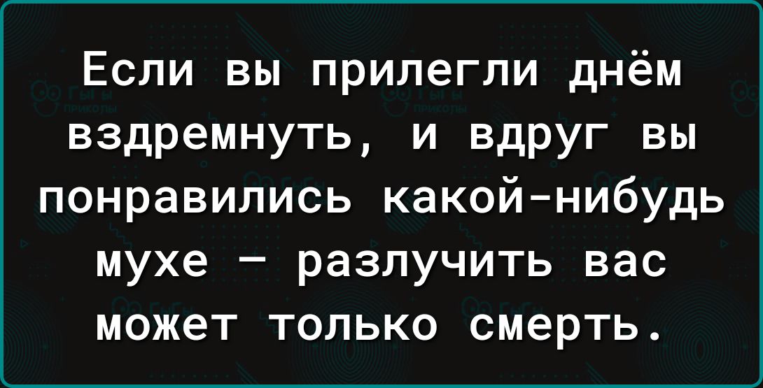 Если вы прилегпи днём вздремнуть и вдруг вы понравились какой нибудь мухе разлучить вас может только смерть