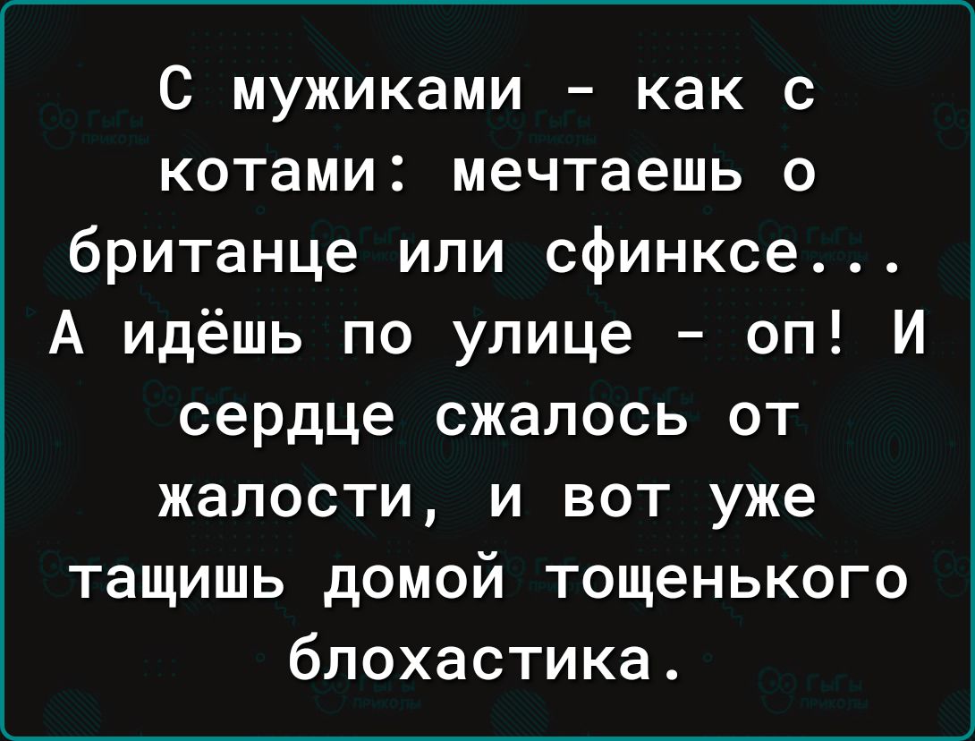 С мужиками как с котами мечтаешь о британце или сфинксе А идёшь по улице оп И сердце сжалось от жалости и вот уже тащишь домой тощенького бпохастика