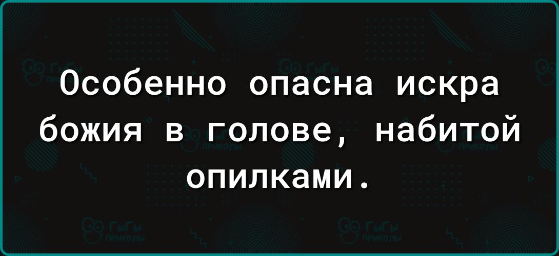 Особенно опасна искра божия в голове набитой опилками