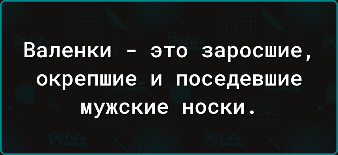 Валенки это заросшие окрепшие И поседевшие мужские НОСКИ