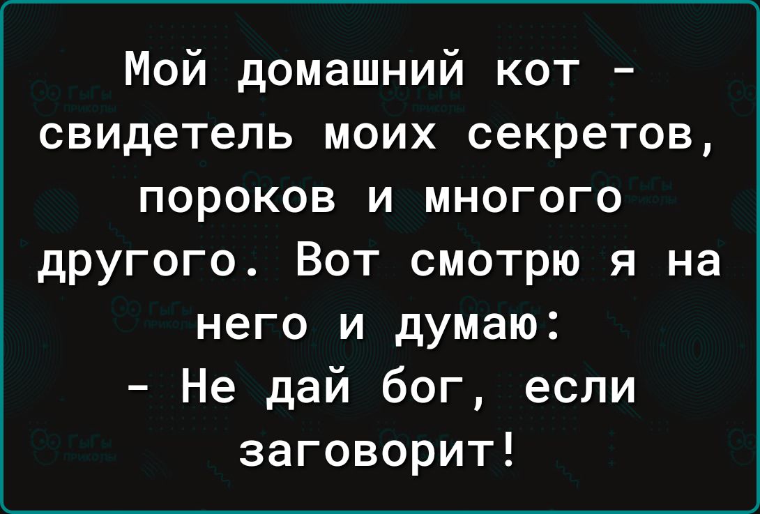 Мой домашний кот свидетель моих секретов пороков и многого другого Вот смотрю я на него и думаю Не дай бог если заговорит