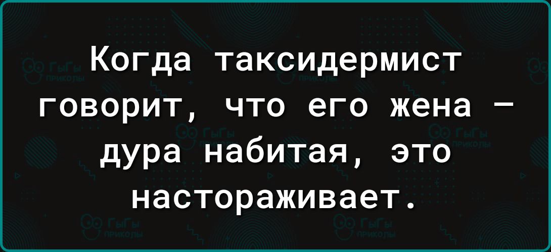 Когда таксидермист говорит что его жена дура набитая это настораживает