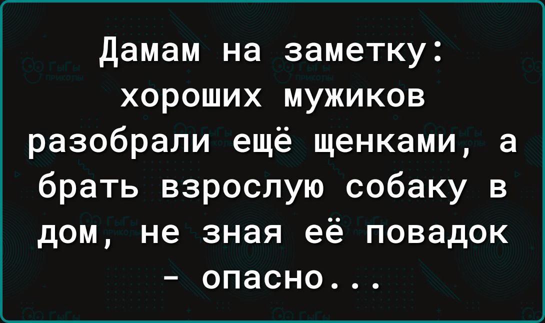 Дамам на заметку хороших мужиков разобрали ещё щенками а брать взрослую собаку в дом не зная её повадок опасно