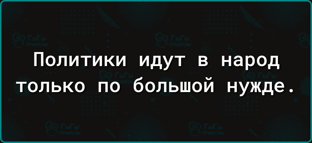 Политики идут в народ только по большой нужде