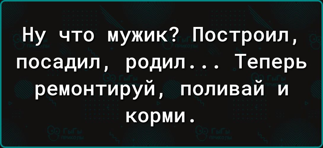 Ну что мужик Построил посадил родил Теперь ремонтируй поливай и корми