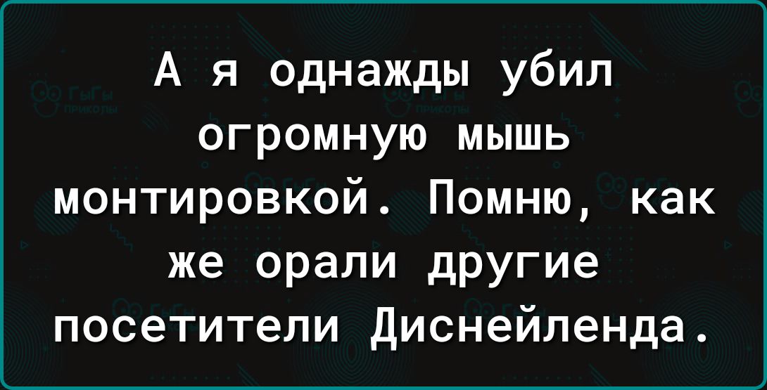 А я однажды убил огромную мышь монтировкой Помню как же орали другие посетители Диснейленда