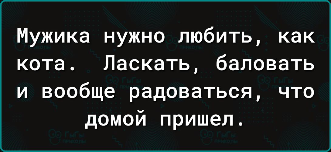 Мужика нужно любить как кота Ласкать баловать и вообще радоваться что домой пришел