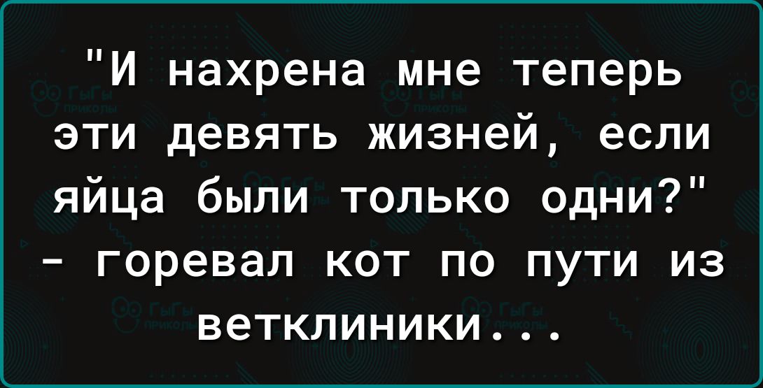 И нахрена мне теперь эти девять жизней если яйца были только одни горевал кот по пути из ветклиники