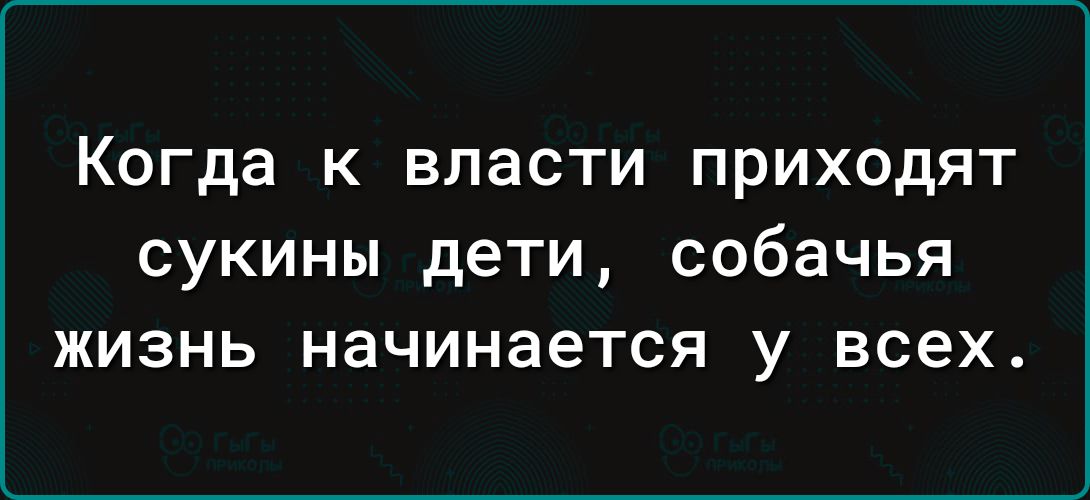 Когда к власти приходят сукины дети собачья жизнь начинается у всех