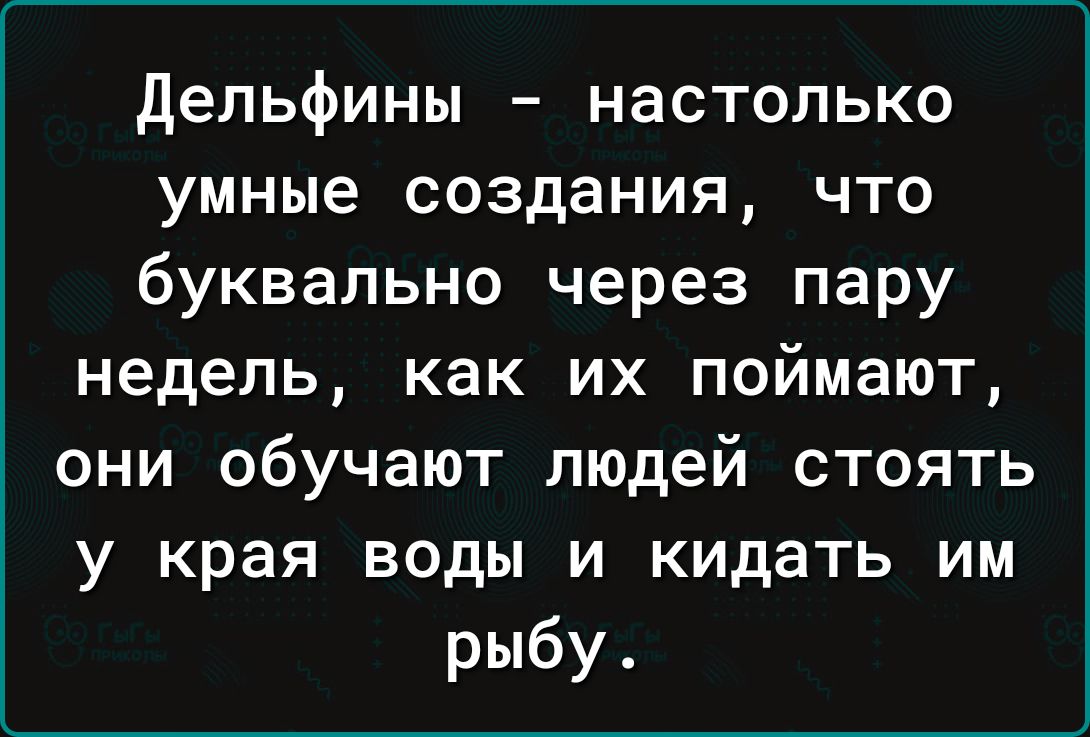 Дельфины настолько умные создания что буквально через пару недель как их поймают они обучают людей стоять у края воды и кидать им рыбу