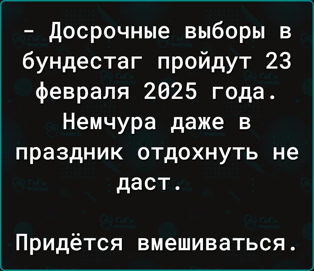 Досрочные выборы в бундестаг пройдут 23 февраля 2025 года Немчура даже в праздник отдохнуть не даст Придётся вмешиваться