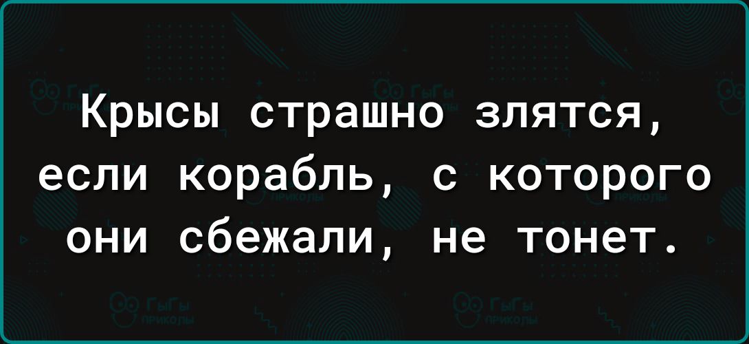 Крысы страшно злятся если корабль с которого они сбежали не тонет