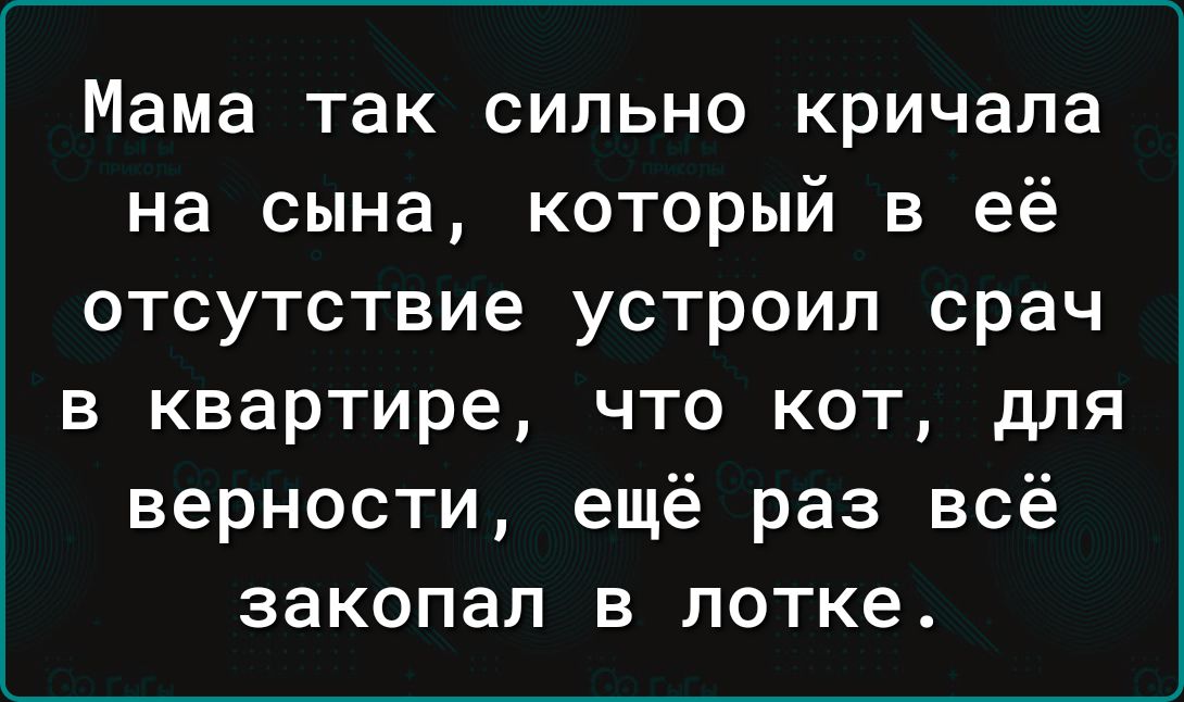 Мама так сильно кричала на сына который в её отсутствие устроил срач в квартире что кот для верности ещё раз всё закопал в лотке