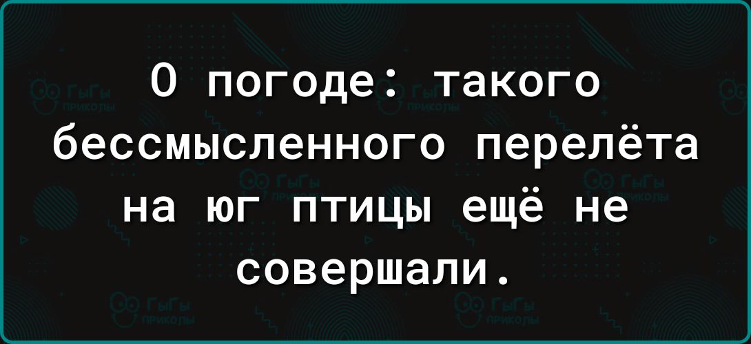 О погоде такого бессмысленного перелёта на юг птицы ещё не совершали