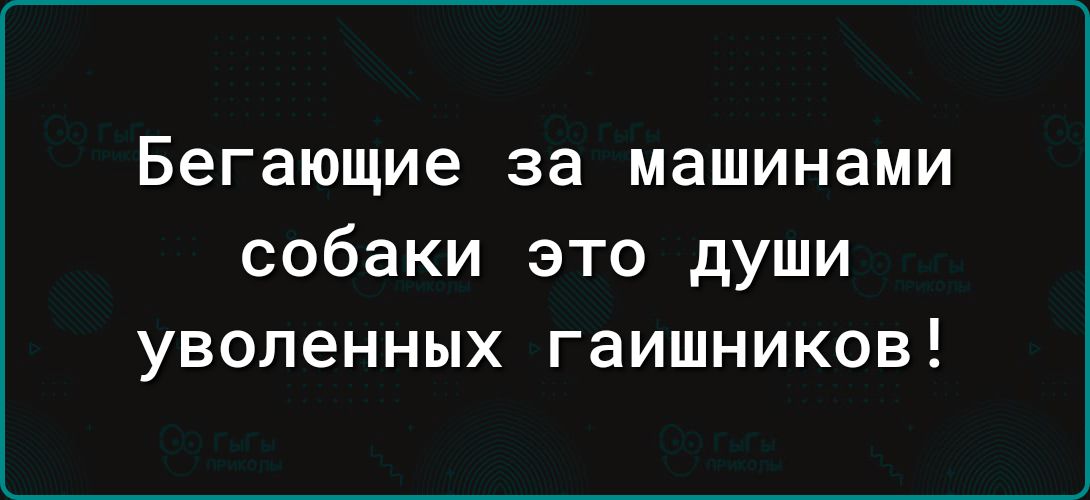 Бегающие за машинами собаки это души уволенных гаишников!
