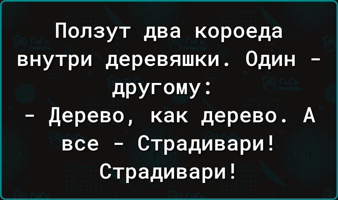 Ползут два короеда внутри деревяшки. Один – другому:
- Дерево, как дерево. А все – Страдивари! Страдивари!