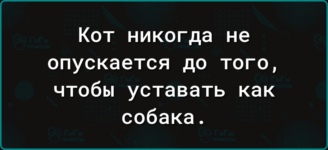 Кот никогда не опускается до того, чтобы уставать как собака.