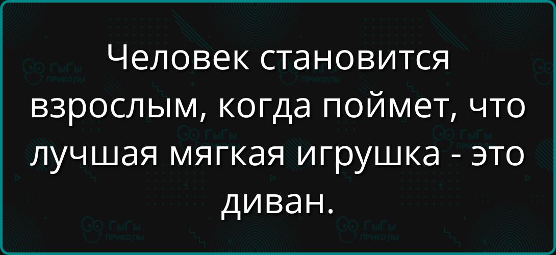 Человек становится взрослым, когда поймет, что лучшая мягкая игрушка - это диван.