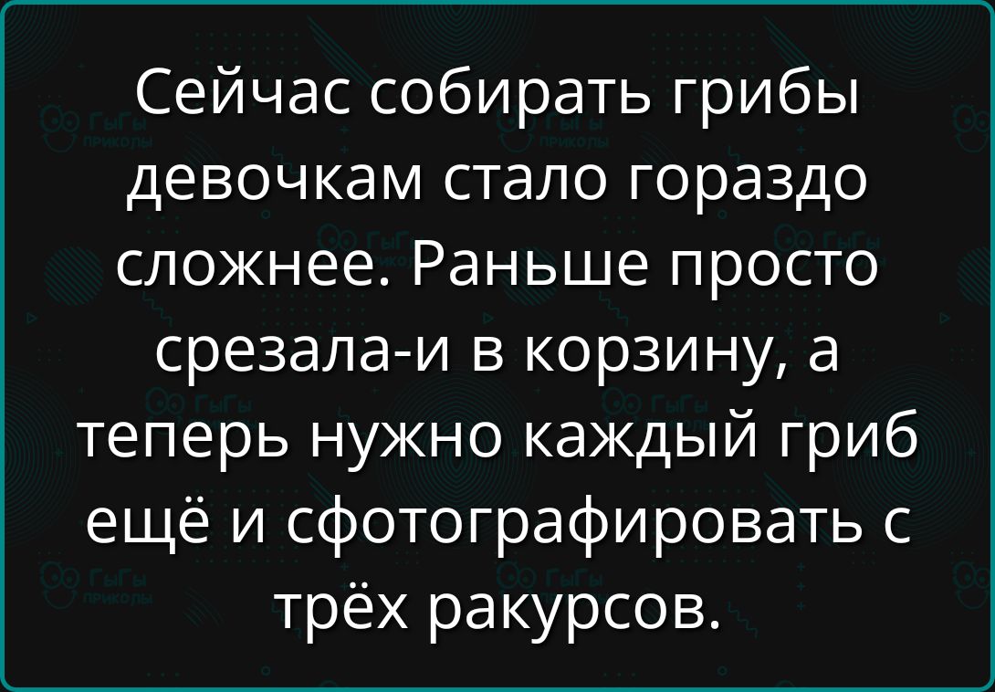 Сейчас собирать грибы девочкам стало гораздо сложнее. Раньше просто срезала-и в корзину, а теперь нужно каждый гриб ещё и фотографировать с трёх ракурсов.