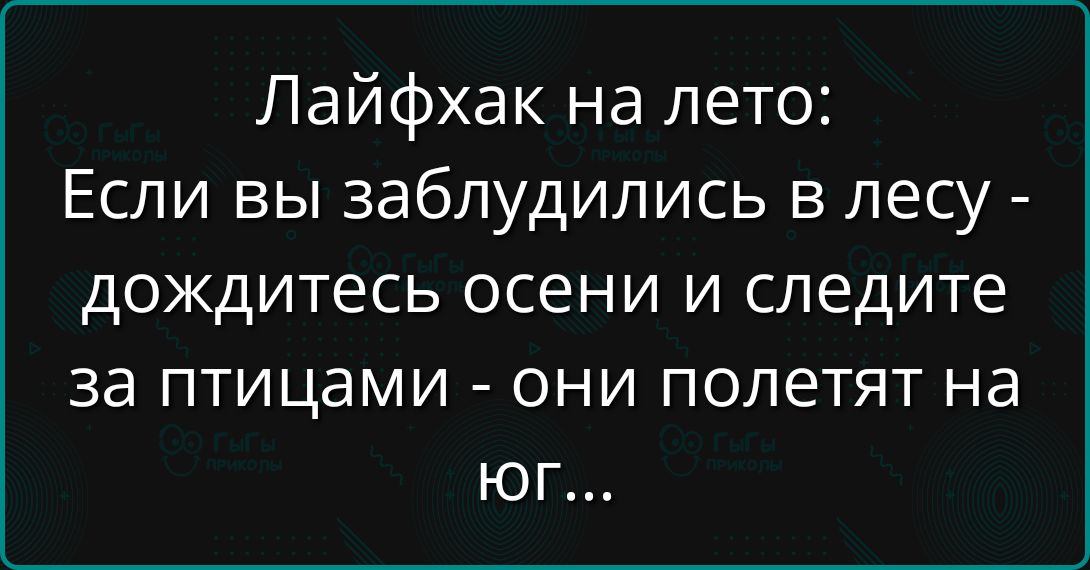 Лайфхак на лето: Если вы заблудились в лесу - дождитесь осени и следите за птицами - они полетят на юг...