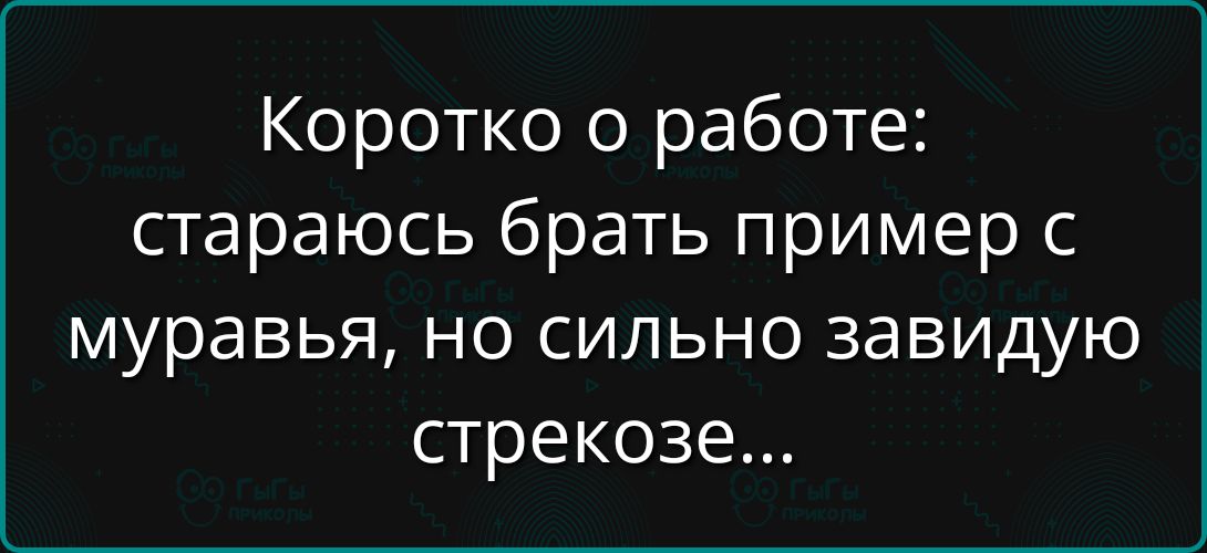 Коротко о работе: стараюсь брать пример с муравья, но сильно завидую стрекозе...