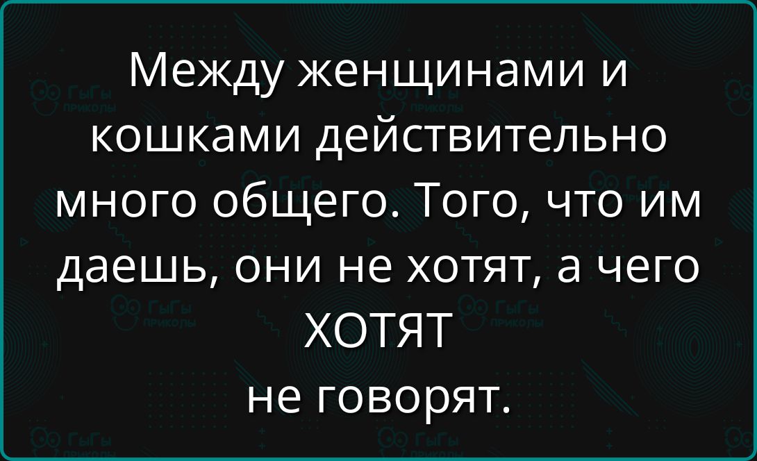 Между женщинами и кошками действительно много общего. Того, что им даёшь, они не хотят, а чего ХОТЯТ не говорят.