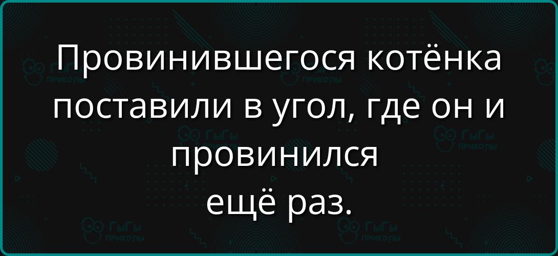 Провинившегося котёнка поставили в угол, где он и провинился ещё раз.