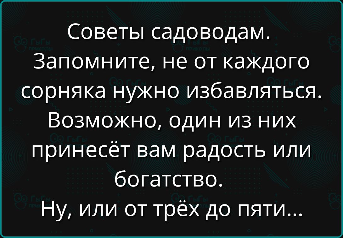 Советы садоводам. Запомните, не от каждого сорняка нужно избавляться. Возможно, один из них принесёт вам радость или богатство. Ну, или от трёх до пяти...