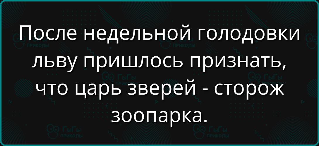 После недельной голодовки льву пришлось признать, что царь зверей - сторож зоопарка.