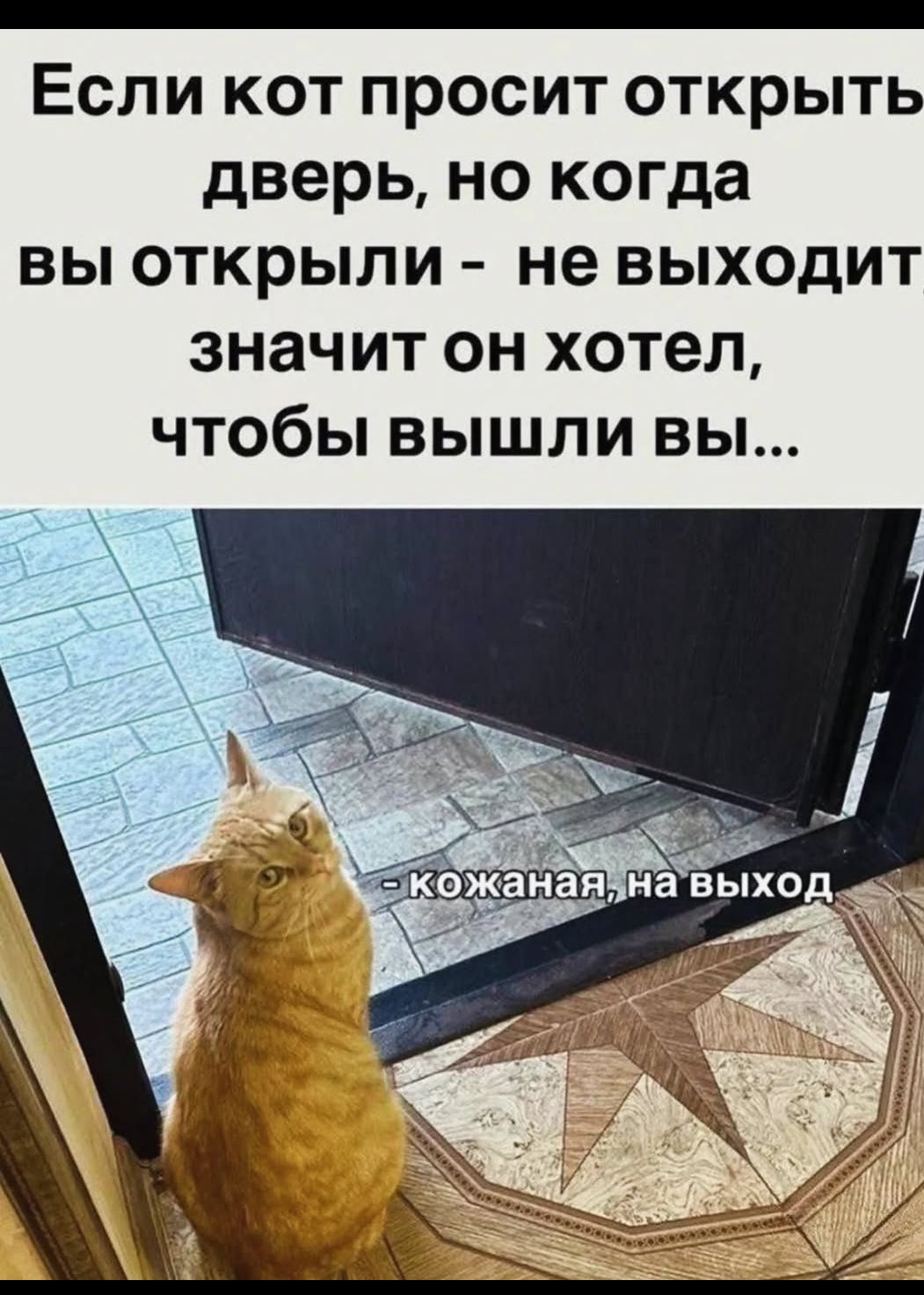 Если кот просит открыть дверь, но когда вы открыли - не выходит значит он хотел, чтобы вышли вы...
- кожаная, на выход