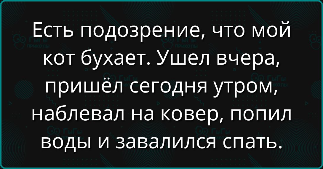 Есть подозрение, что мой кот бухает. Ушел вчера, пришёл сегодня утром, наблевал на ковер, попил воды и завалился спать.