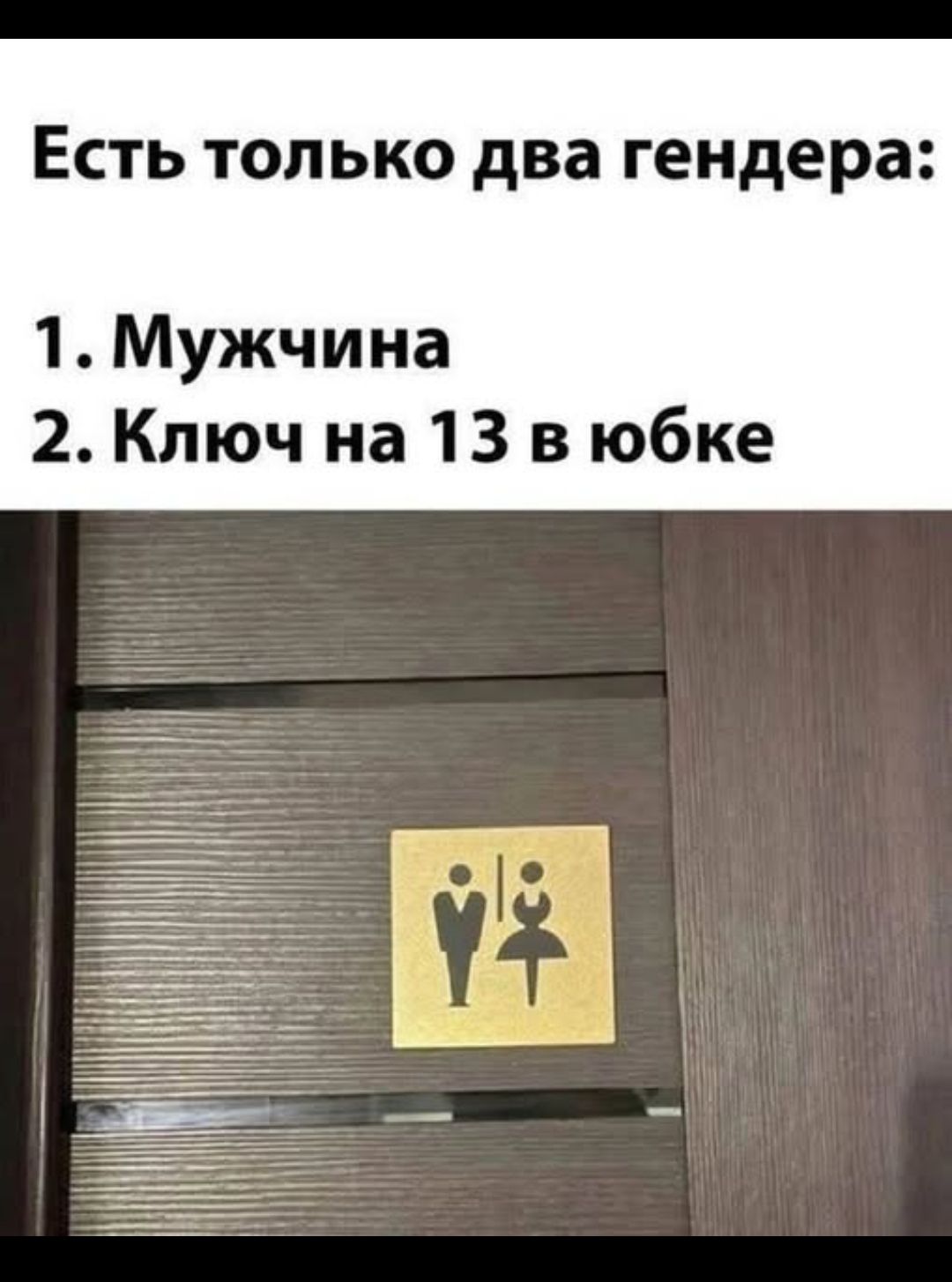Есть только два гендера:
1. Мужчина
2. Ключ на 13 в юбке