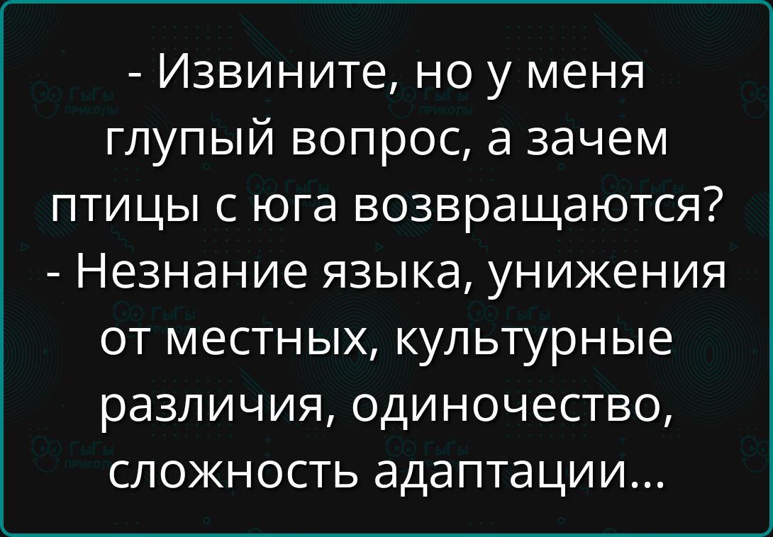 - Извините, но у меня глупый вопрос, а зачем птицы с юга возвращаются?
- Незнание языка, унижения от местных, культурные различия, одиночество, сложность адаптации...