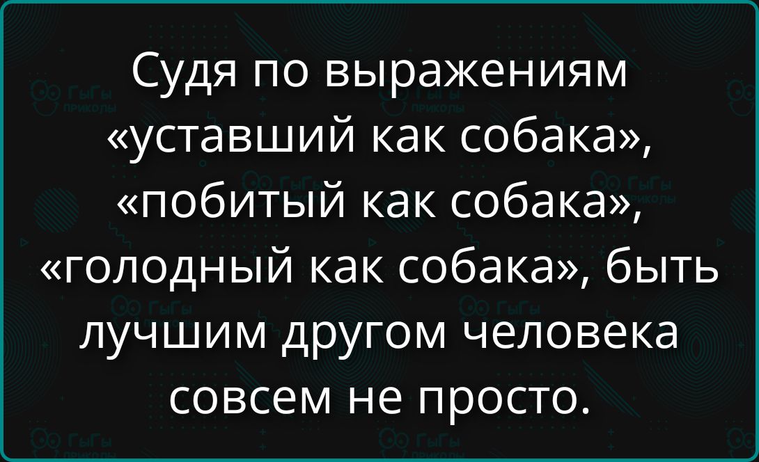Судя по выражениям «уставший как собака», «побитый как собака», «голодный как собака», быть лучшим другом человека совсем не просто.