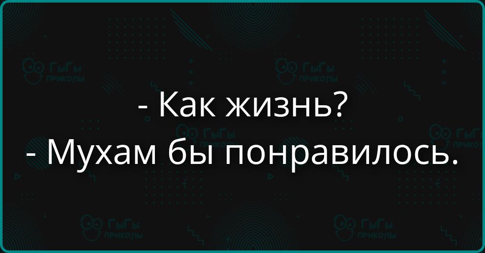 - Как жизнь?
- Муxам бы понравилось.