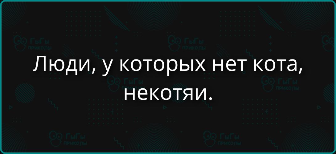Люди, у которых нет кота, некотяти.