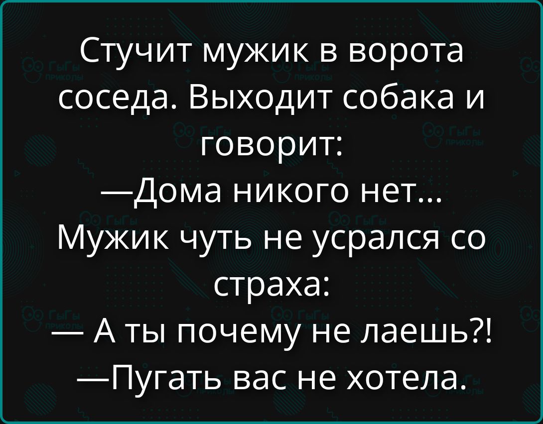 Стучит мужик в ворота соседа. Выходит собака и говорит: —Дома никого нет... Мужик чуть не усрался со страха: — А ты почему не лаешь?! —Пугать вас не хотела.